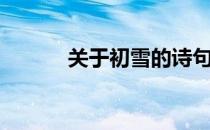 关于初雪的诗句（初雪的忧伤）