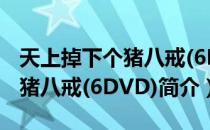 天上掉下个猪八戒(6DVD)（关于天上掉下个猪八戒(6DVD)简介）