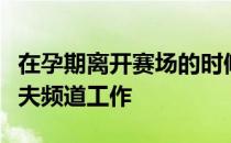 在孕期离开赛场的时候魏圣美开始为美国高尔夫频道工作