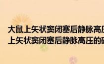 大鼠上矢状窦闭塞后静脉高压的磁共振影像研究（关于大鼠上矢状窦闭塞后静脉高压的磁共振影像研究简介）