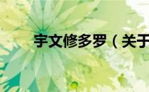 宇文修多罗（关于宇文修多罗介绍）