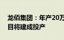 龙佰集团：年产20万吨电池材料级磷酸铁项目将建成投产