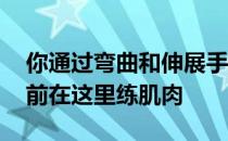 你通过弯曲和伸展手臂来练习什么肌肉 你以前在这里练肌肉