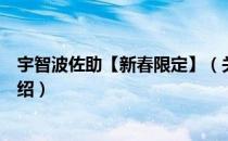 宇智波佐助【新春限定】（关于宇智波佐助【新春限定】介绍）