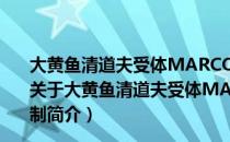 大黄鱼清道夫受体MARCO抗哈维氏弧菌感染的分子机制（关于大黄鱼清道夫受体MARCO抗哈维氏弧菌感染的分子机制简介）