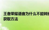 王者荣耀语音为什么不能转换成文字——王者荣耀救命语音获取方法