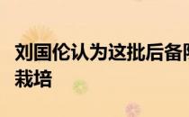 刘国伦认为这批后备队球员资质不俗应该好好栽培