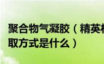 聚合物气凝胶（精英材料聚合凝胶的用途及获取方式是什么）