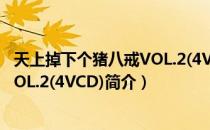 天上掉下个猪八戒VOL.2(4VCD)（关于天上掉下个猪八戒VOL.2(4VCD)简介）