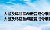 大鼠及鸡胚胎颅盖骨成骨细胞样细胞表型表达的研究（关于大鼠及鸡胚胎颅盖骨成骨细胞样细胞表型表达的研究简介）