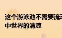 这个游泳池不需要流动的水就能让人感受到水中世界的清凉