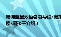 哈佛蓝星双语名著导读·黑孩子（关于哈佛蓝星双语名著导读·黑孩子介绍）