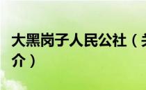 大黑岗子人民公社（关于大黑岗子人民公社简介）