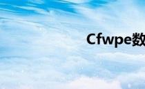 Cfwpe数据包教程