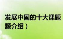 发展中国的十大课题（关于发展中国的十大课题介绍）