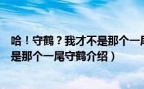 哈！守鹤？我才不是那个一尾守鹤（关于哈！守鹤？我才不是那个一尾守鹤介绍）