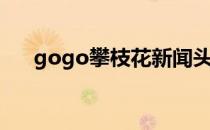 gogo攀枝花新闻头条（gogo攀枝花）