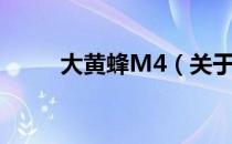 大黄蜂M4（关于大黄蜂M4简介）