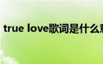 true love歌词是什么意思（true love歌词）