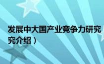 发展中大国产业竞争力研究（关于发展中大国产业竞争力研究介绍）