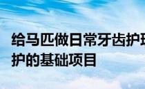 给马匹做日常牙齿护理已经被列为马匹健康维护的基础项目