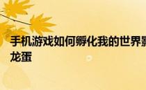 手机游戏如何孵化我的世界影龙蛋——如何带走我的世界影龙蛋