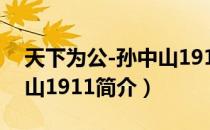 天下为公-孙中山1911（关于天下为公-孙中山1911简介）