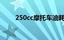 250cc摩托车油耗（250cc摩托车）