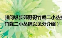 叔问纵步郊野得竹栽二小丛携以见分（关于叔问纵步郊野得竹栽二小丛携以见分介绍）