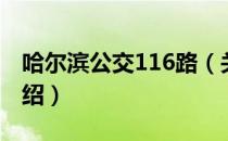 哈尔滨公交116路（关于哈尔滨公交116路介绍）