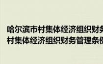 哈尔滨市村集体经济组织财务管理条例 修正（关于哈尔滨市村集体经济组织财务管理条例 修正介绍）