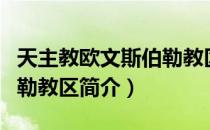 天主教欧文斯伯勒教区（关于天主教欧文斯伯勒教区简介）