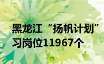 黑龙江“扬帆计划”实习活动开启 共征集实习岗位11967个