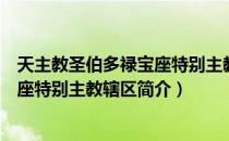 天主教圣伯多禄宝座特别主教辖区（关于天主教圣伯多禄宝座特别主教辖区简介）