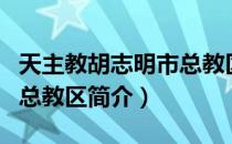 天主教胡志明市总教区（关于天主教胡志明市总教区简介）