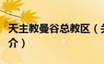 天主教曼谷总教区（关于天主教曼谷总教区简介）