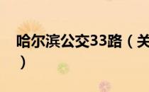 哈尔滨公交33路（关于哈尔滨公交33路介绍）