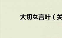 大切な言叶（关于大切な言叶）