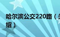 哈尔滨公交220路（关于哈尔滨公交220路介绍）