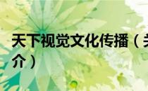 天下视觉文化传播（关于天下视觉文化传播简介）