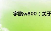 宇鹏w800（关于宇鹏w800介绍）