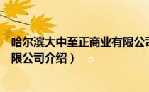 哈尔滨大中至正商业有限公司（关于哈尔滨大中至正商业有限公司介绍）