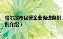 哈尔滨市民营企业促进条例（关于哈尔滨市民营企业促进条例介绍）