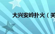 大兴安岭扑火（关于大兴安岭扑火）