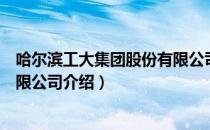 哈尔滨工大集团股份有限公司（关于哈尔滨工大集团股份有限公司介绍）