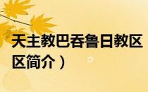 天主教巴吞鲁日教区（关于天主教巴吞鲁日教区简介）