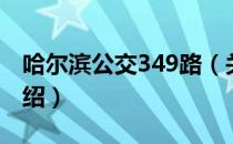 哈尔滨公交349路（关于哈尔滨公交349路介绍）