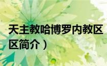 天主教哈博罗内教区（关于天主教哈博罗内教区简介）