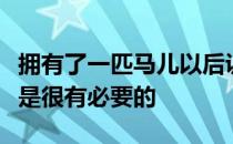 拥有了一匹马儿以后训练它的身体并使之柔软是很有必要的