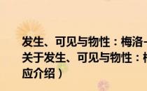 发生、可见与物性：梅洛-庞蒂的美学理论及其当代效应（关于发生、可见与物性：梅洛-庞蒂的美学理论及其当代效应介绍）